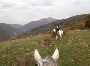 Sentiers de randonnée équestre en Comminges Pyrénées