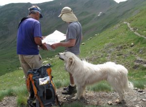 Apatura- Rando Pyrénées