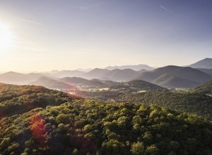 Office de tourisme Cagire Garonne Salat