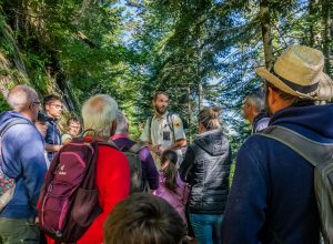 Association Pays de l&rsquo;Ours – Adet