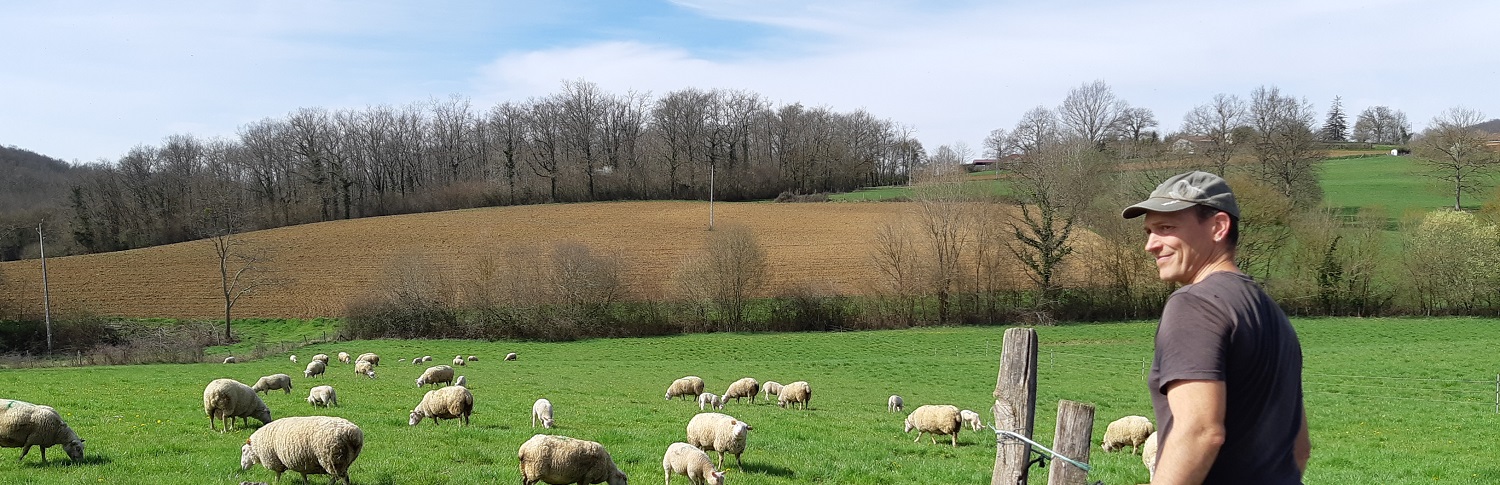 Ferme-des-Pipes-Agneau-Castillon-Saint-Martory-Comminges-Pyrénées