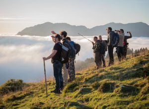 Greenthérapie et autres bruits de la forêt : rencontre avec Marc Chatonnay