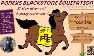 Poneys Blackstone Equitation – Equitation sur poneys