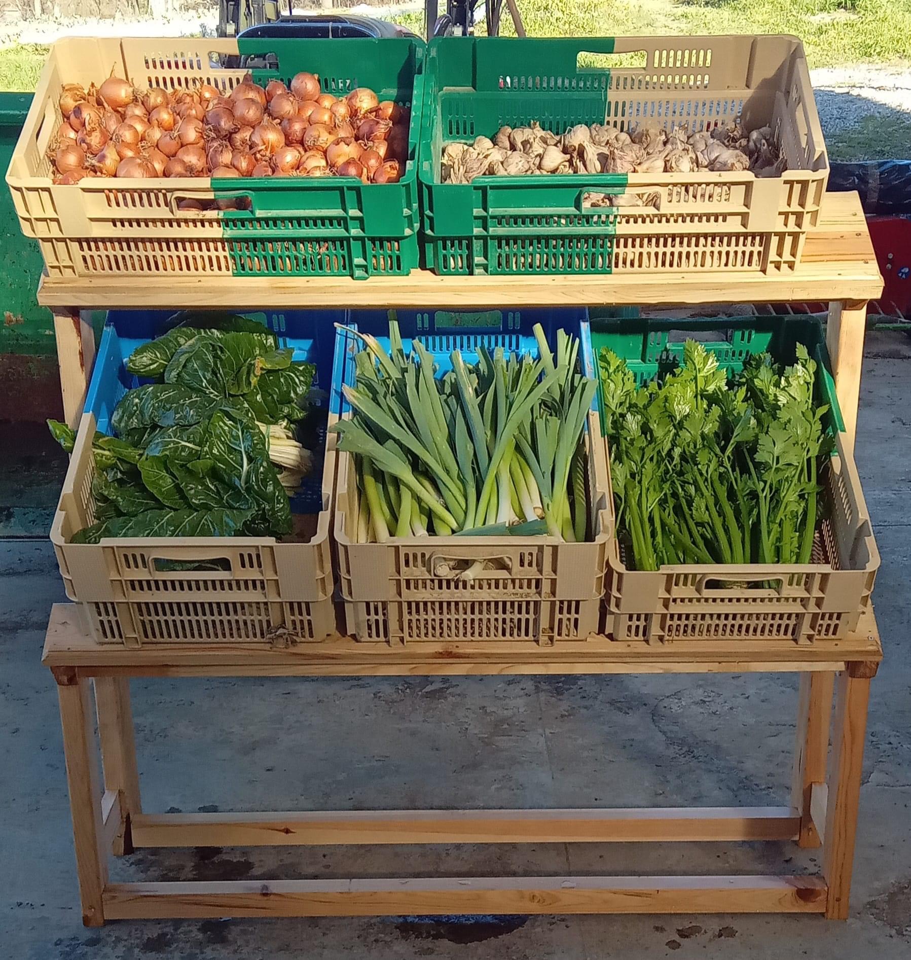 Légumes en Salat Vente légumes bio Comminges Montsaunès