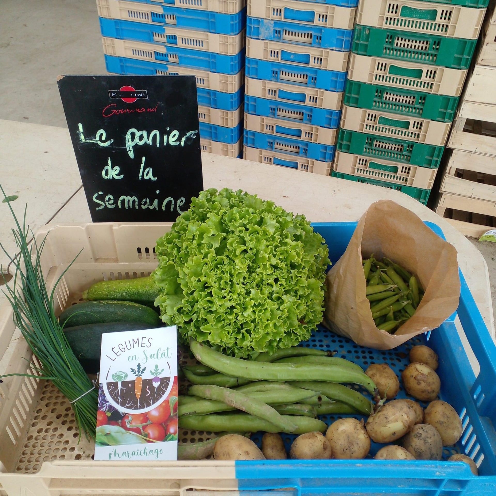 Légumes en Salat Vente légumes bio Comminges Montsaunès