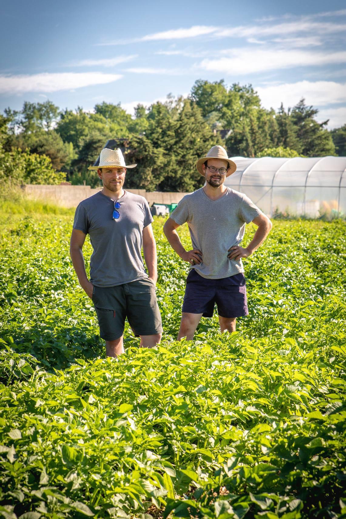 GAEC légumes en Salat Montsaunès