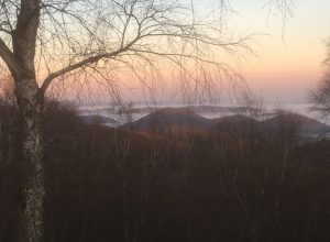 David Clément, producteur artisanal de sève de bouleau ou comment redonner un nouveau souffle à l’exploitation de nos forêts?