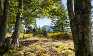 Envie de découvrir les Pyrénées à vélo ?