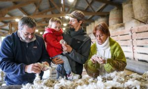 Atelier d’initiation au travail de la laine mohair
