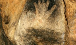 Grottes de Gargas : visitez des grottes ornées uniques !