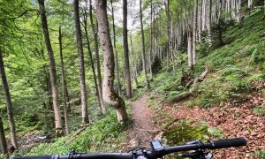 Découverte et perfectionnement All Mountain des Petites Pyrénées au piémont pyrénéen