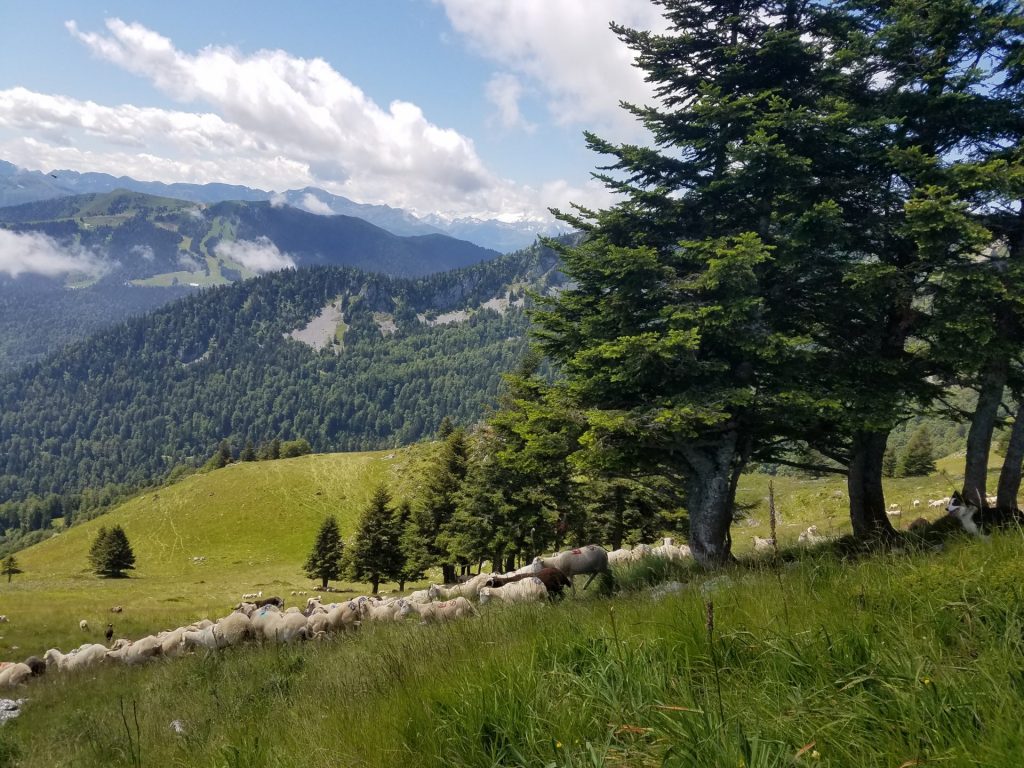 Réservation séjour vacances rando moyenne montagne Cagire Aspet