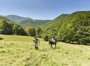 Mon séjour itinérant avec un âne en moyenne montagne à la découverte des Pyrénées