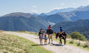 Réservez votre activité de pleine nature au cœur des Pyrénées !