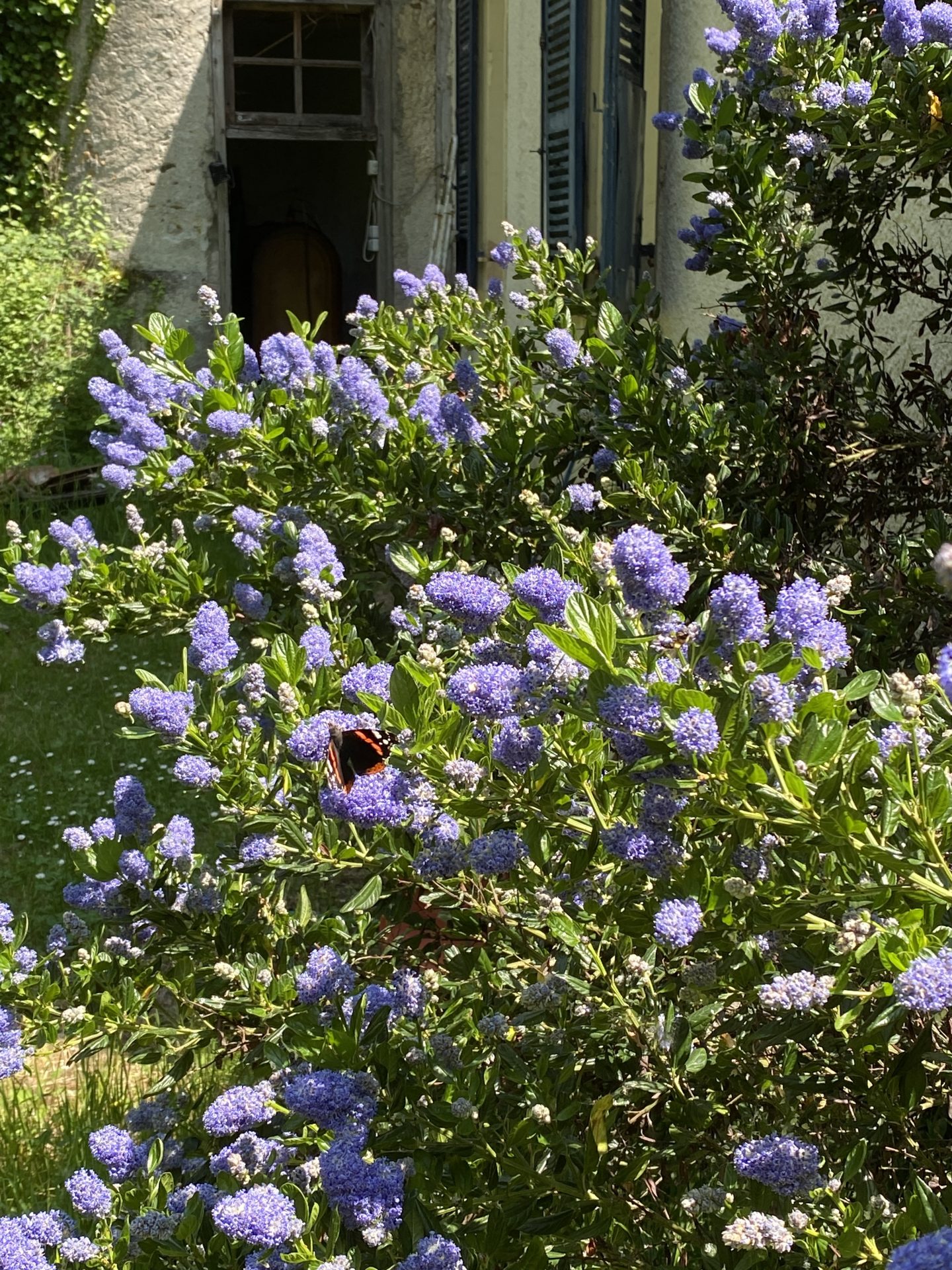 Les Jardins du Cap d'Arbon Comminges Pyrénées Visite Jardin Famille Aspet