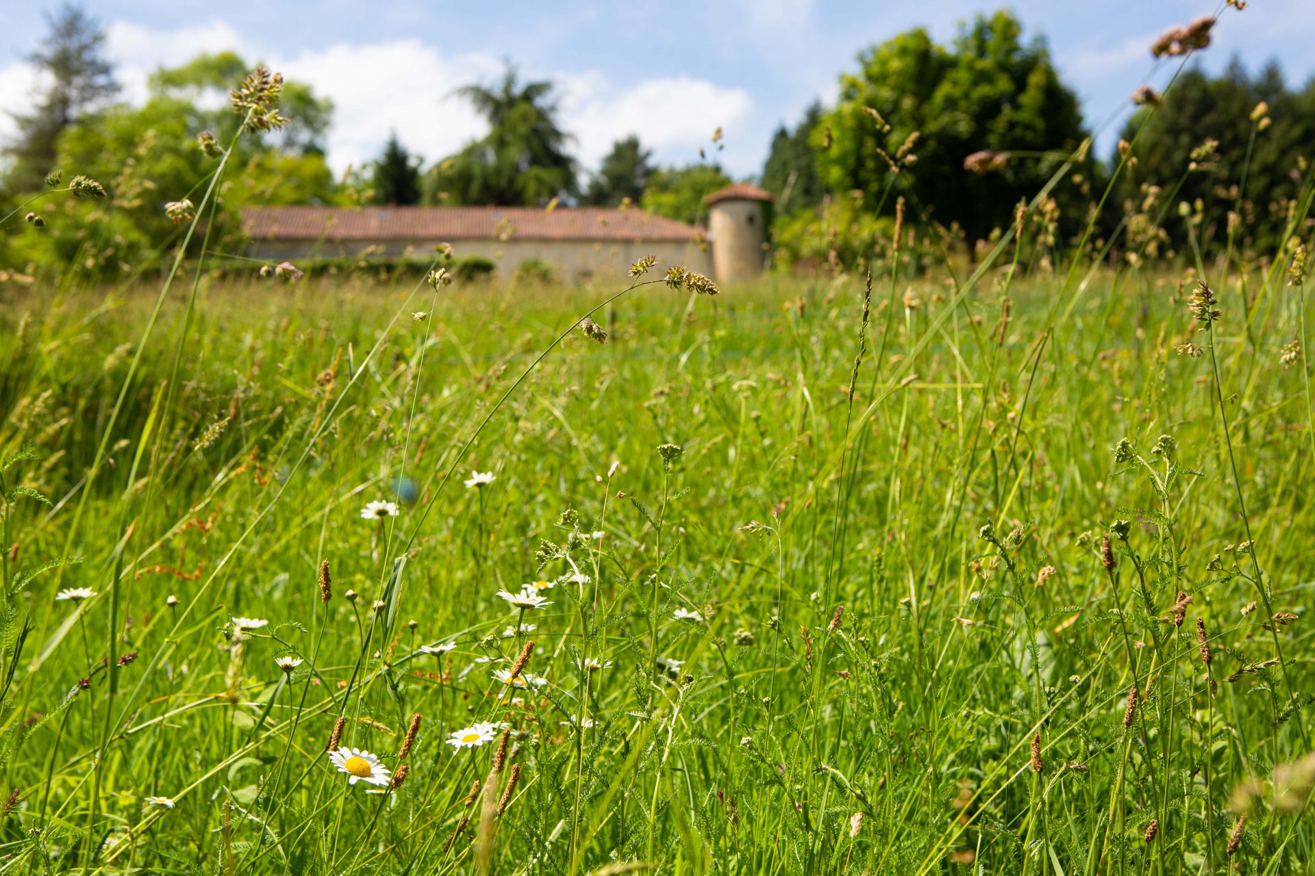 Les Jardins du Cap d'Arbon Comminges Pyrénées Visite Jardin Famille Aspet