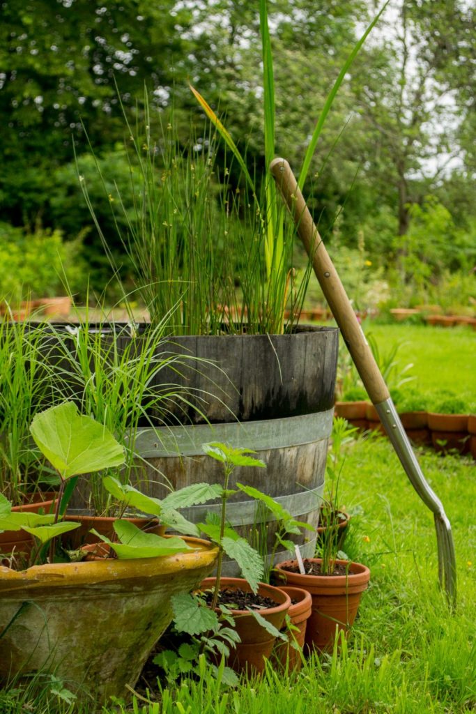 Les Jardins du Cap d'Arbon Comminges Pyrénées Visite Jardin Famille Aspet