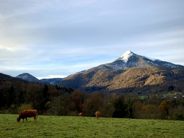 Pic de Cagire en Comminges Pyrénées - Randonnée Aspet