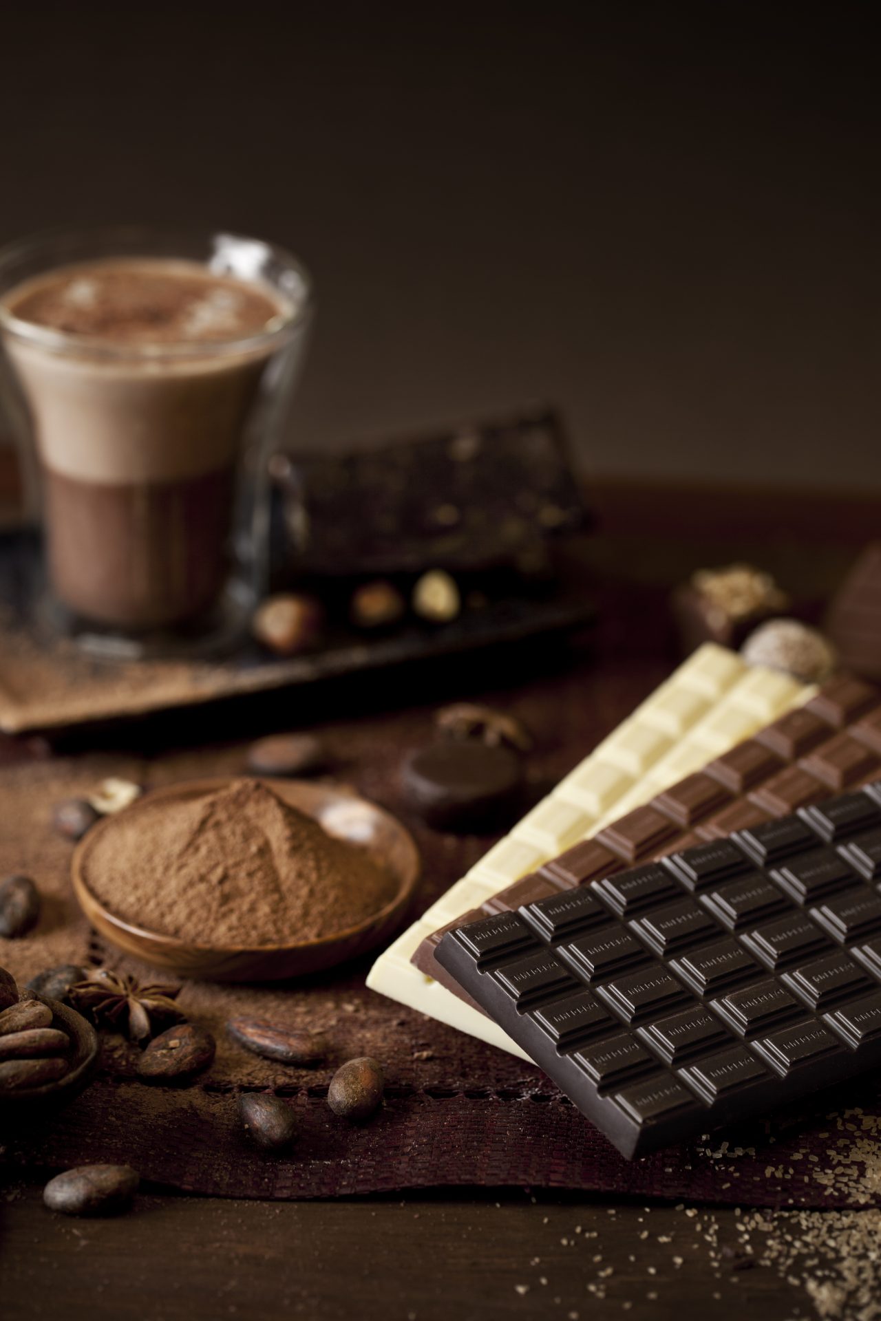 Chocolaterie Dardenne Ausson Visite Musée Chocolat Pyrénées