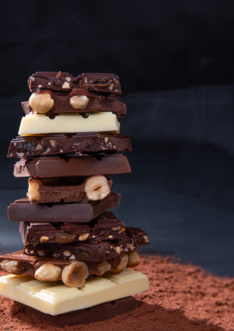Chocolaterie Dardenne Ausson Visite Musée Chocolat Pyrénées