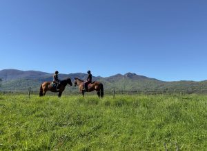 Hébergements Accueil Cavaliers