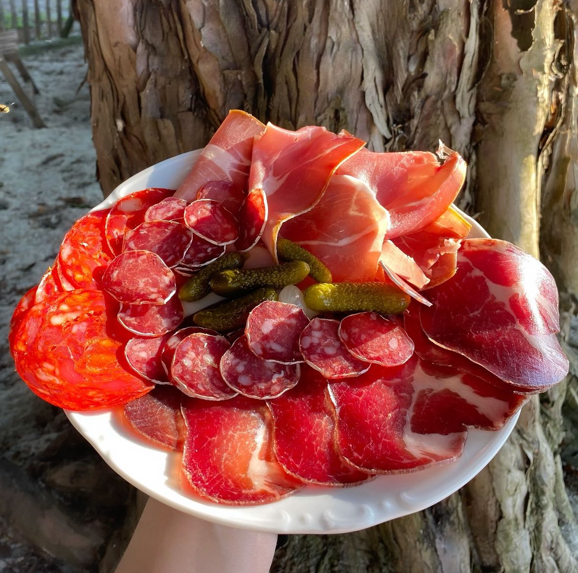 La guinguette de la Maisonnette Montsaunès