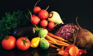 Les jardins de la petite ourse
