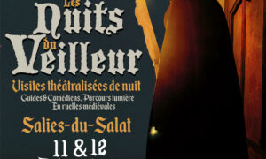 LES NUITS DU VEILLEUR